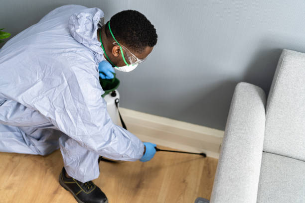 Best Real Estate Pest Inspections  in Taylor, AZ